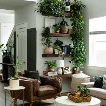 interior con plantas a-tipic
